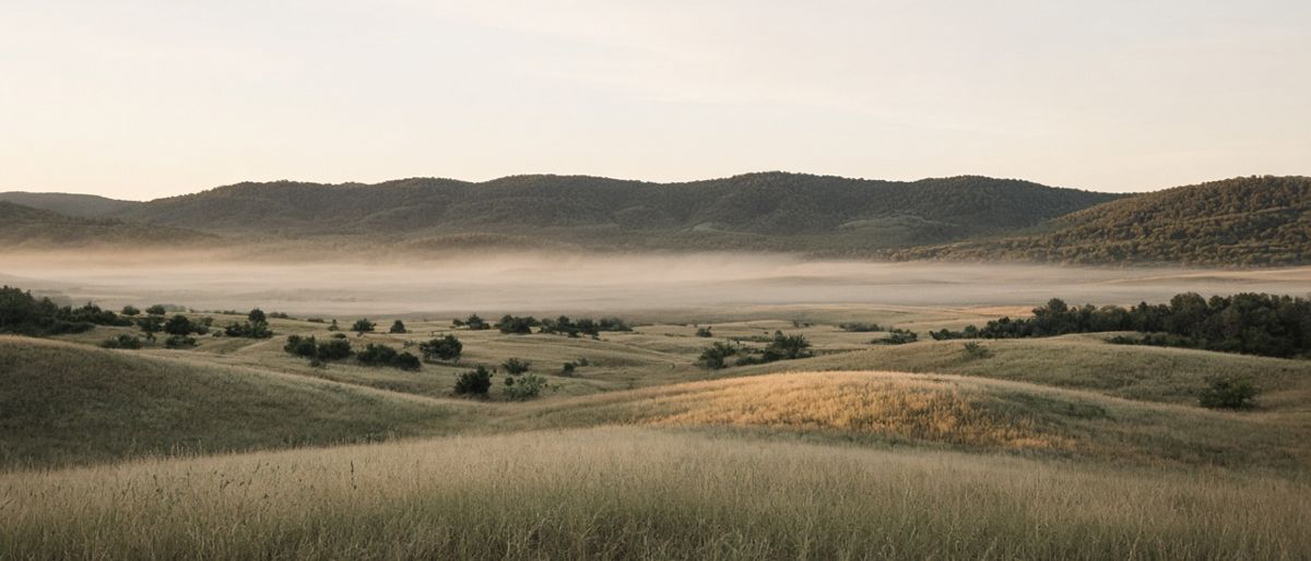 Open grassland meeting low forested hills under early morning light, no buildings or people visible